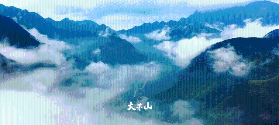 女孩子喜欢吃甜粽子还是咸粽子？游戏画面